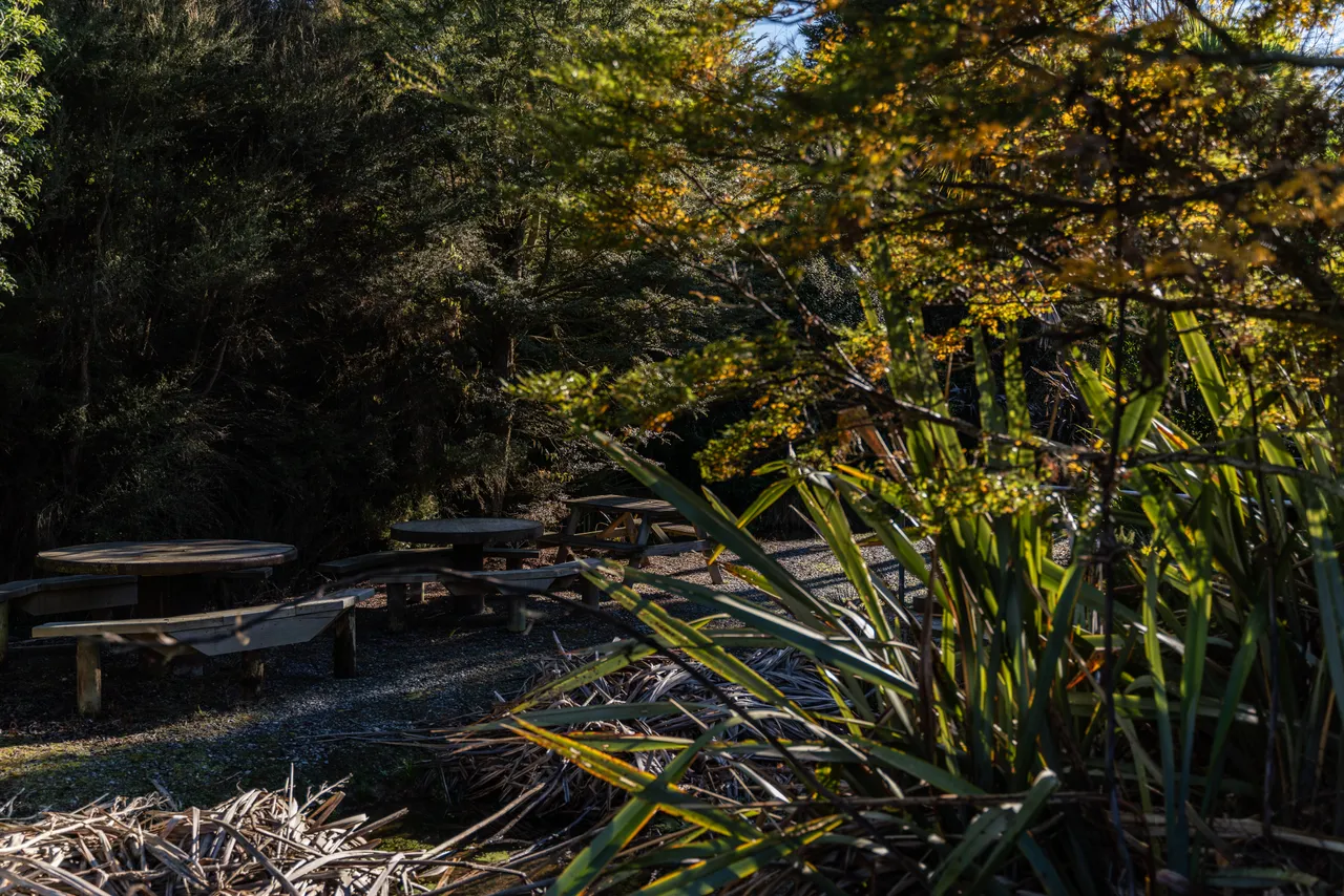 Seating area in the bush