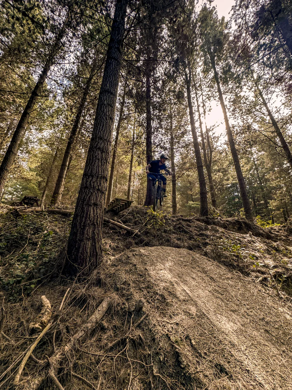 0924-Wetherston-Mountain-Bike-Park-19