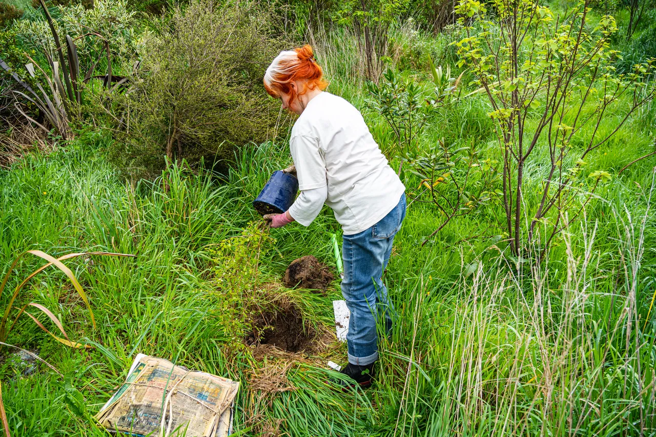 Janine Thompson planting a tree