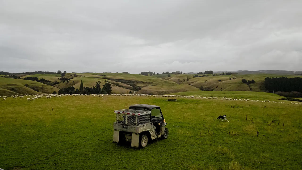 0624-Clutha-Sarahs-Farm-76