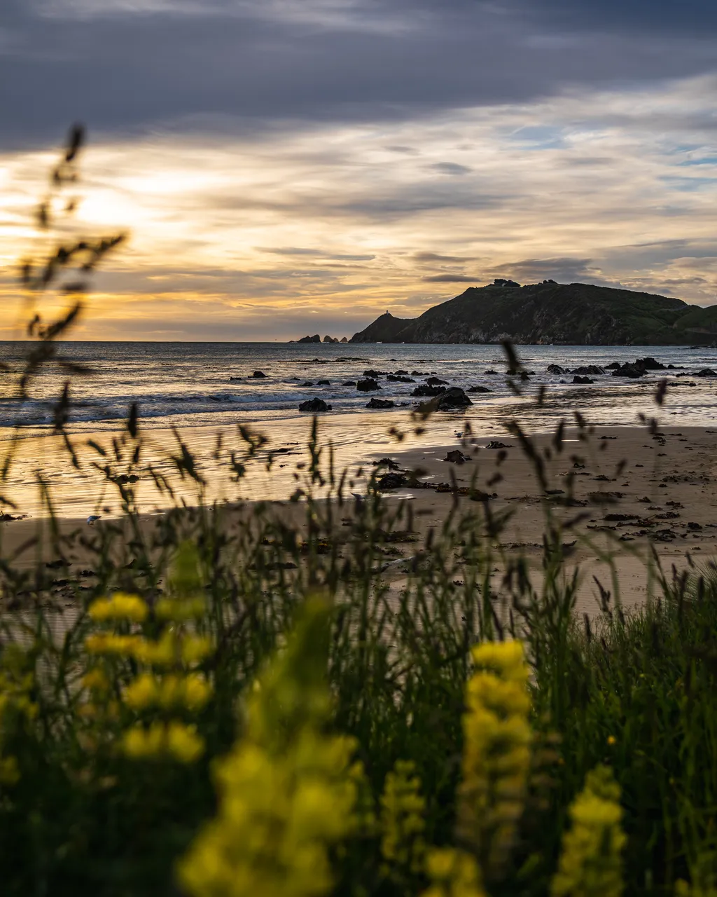 Grass and the sea