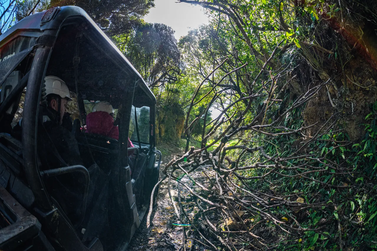 Side by side driving through bush