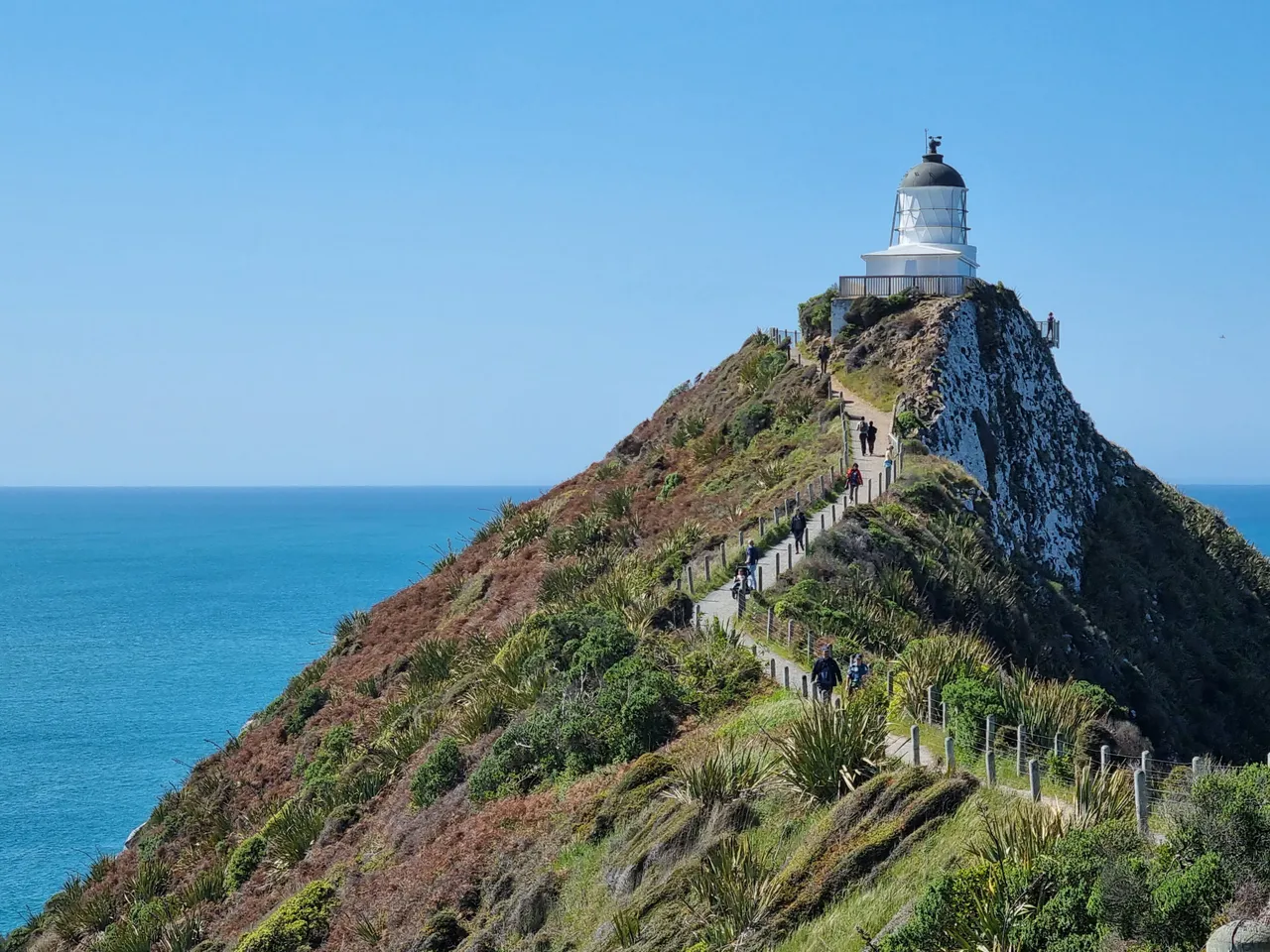 Nugget Point Lighthouse-2