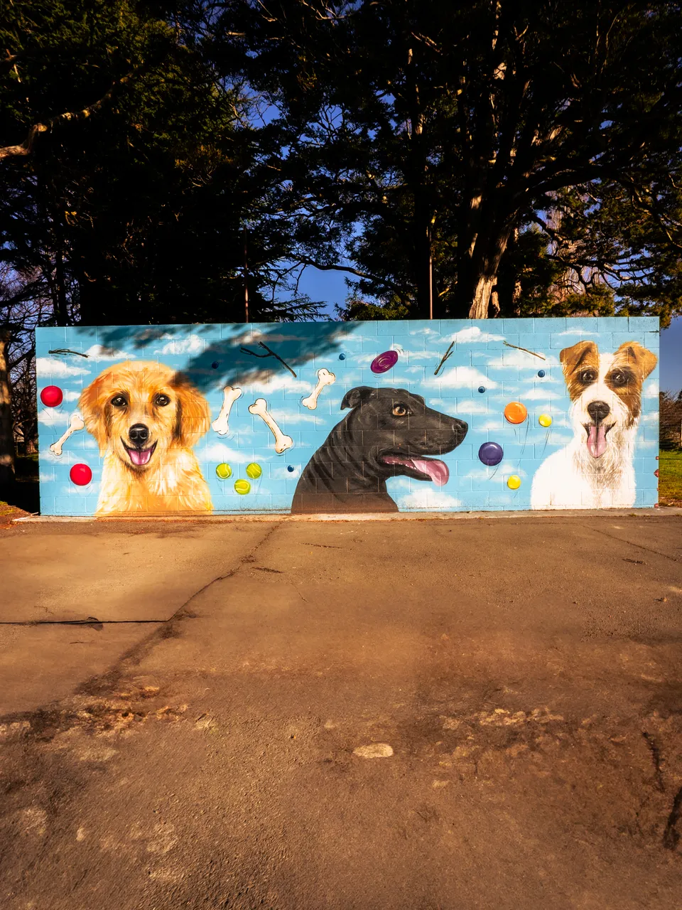 0825-Clutha-Alice-Murals-61