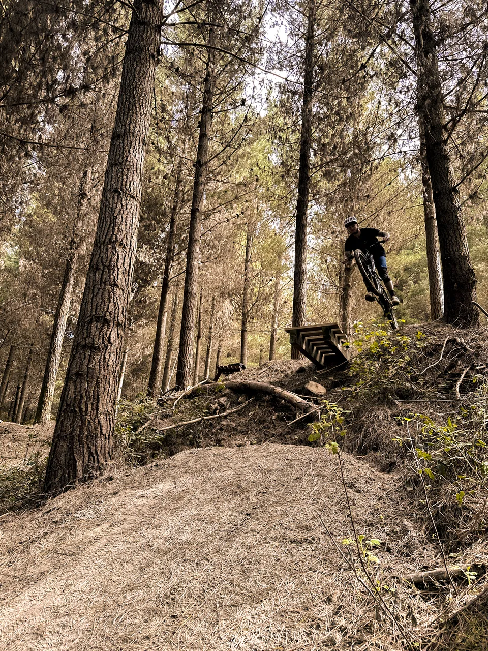 0924-Wetherston-Mountain-Bike-Park-12