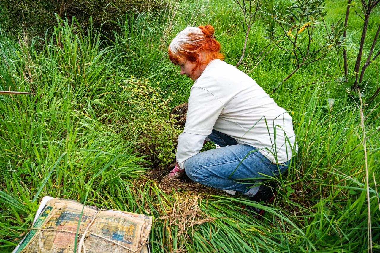Janine Thompson planting a tree
