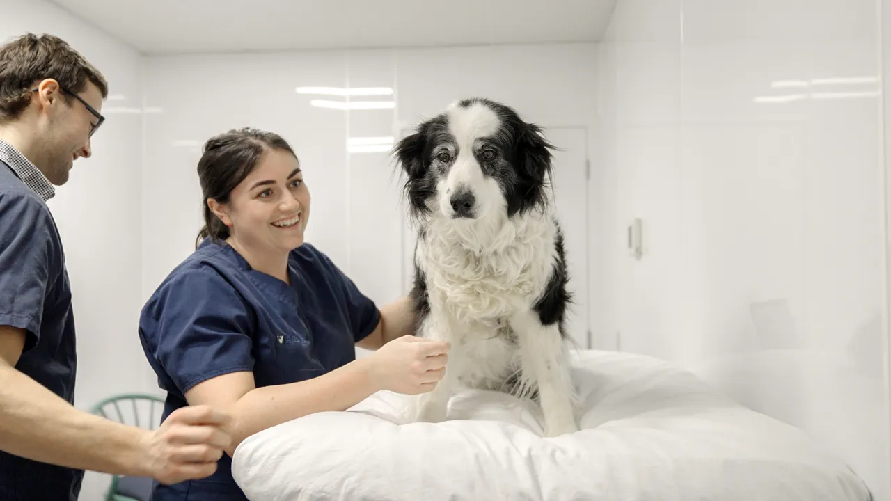 0624-Clutha-Vets-Balclutha-13