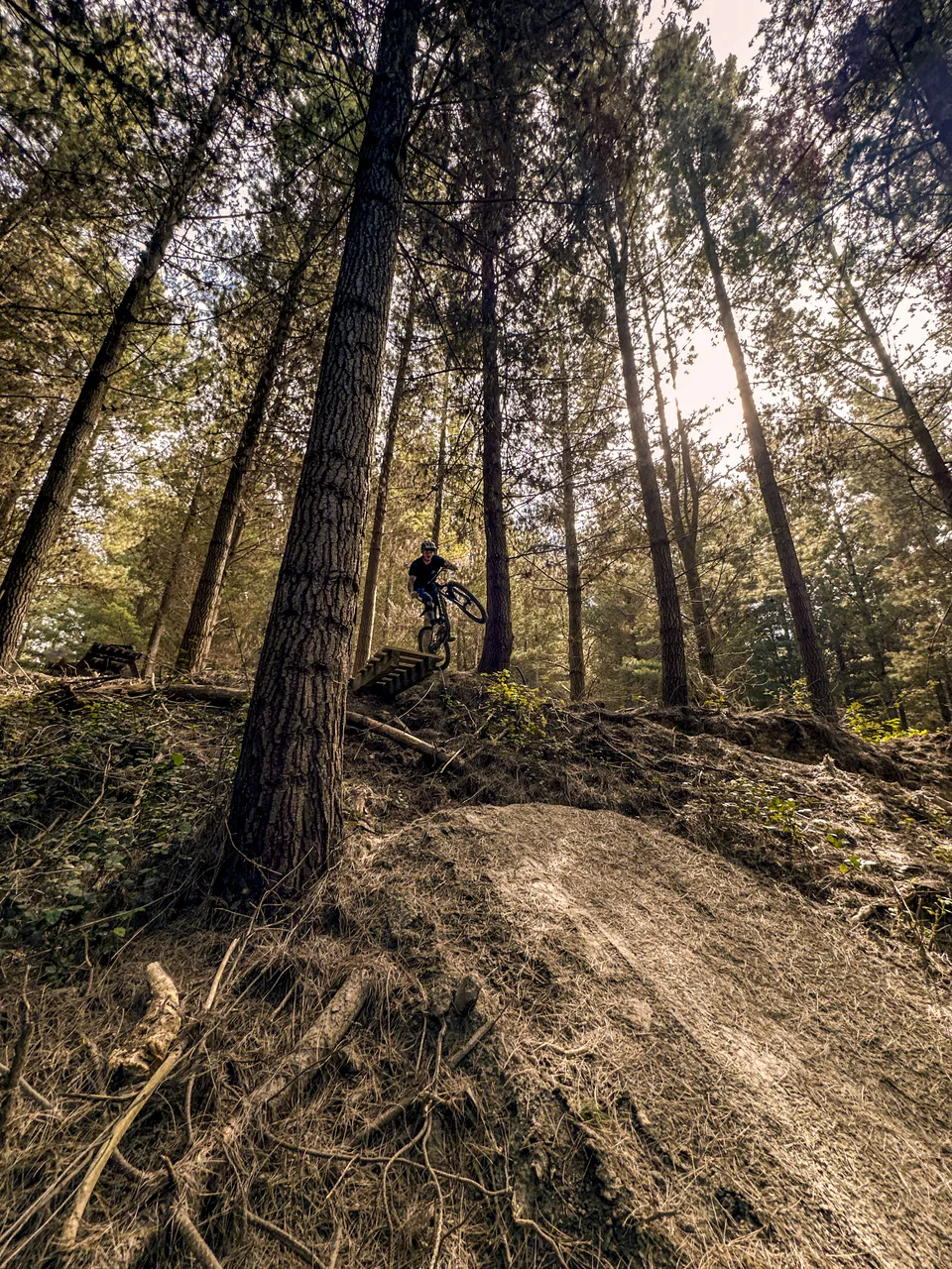 0924-Wetherston-Mountain-Bike-Park-17