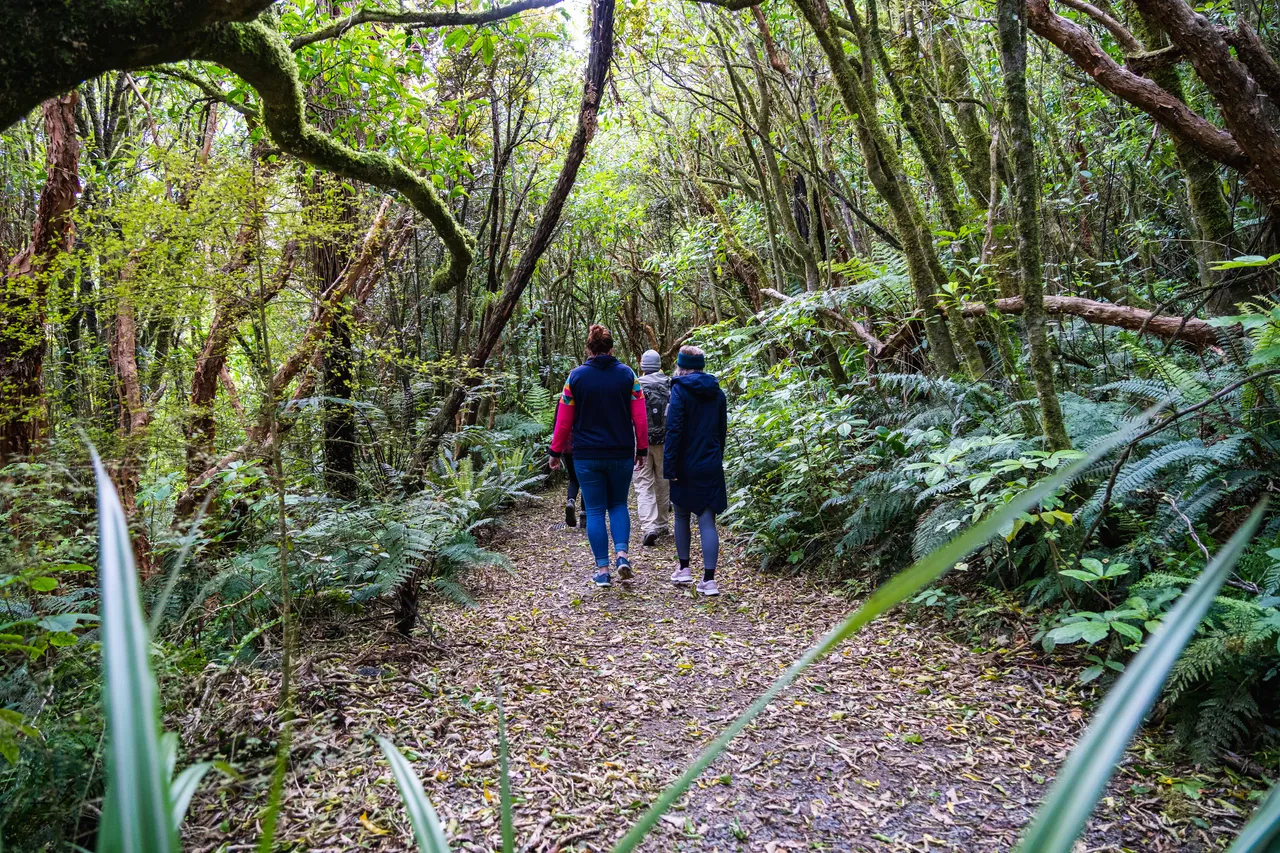 People walking in the bush