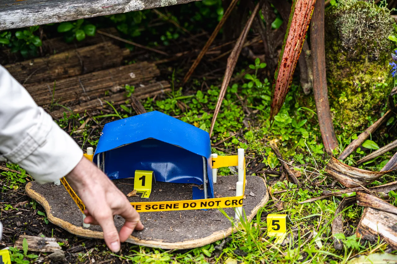 Bug house