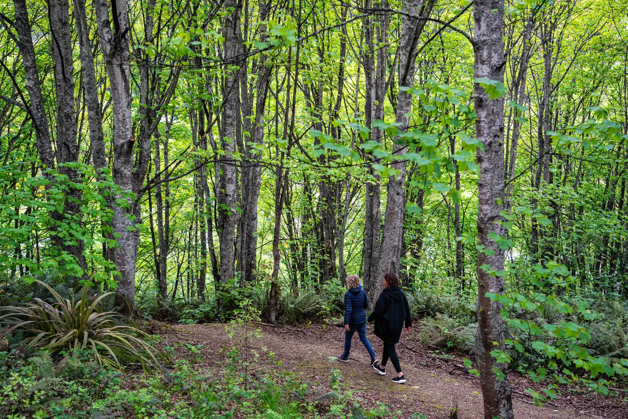 People walking in the bush