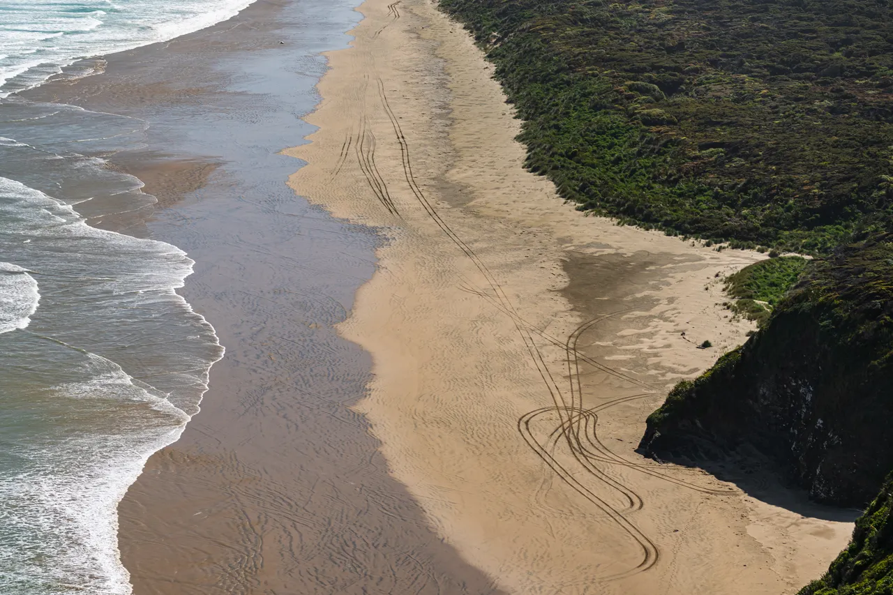 Beach and sea and the bush