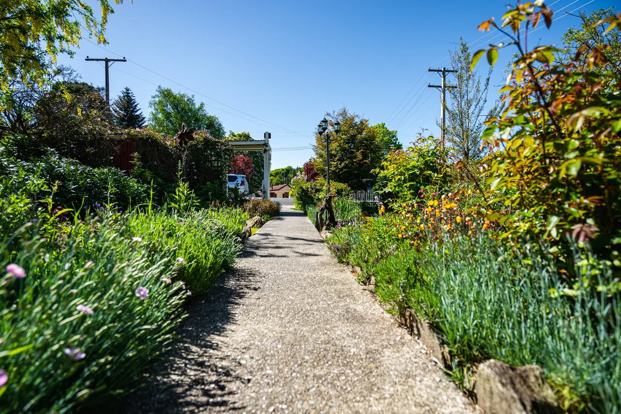 Concrete path and garden
