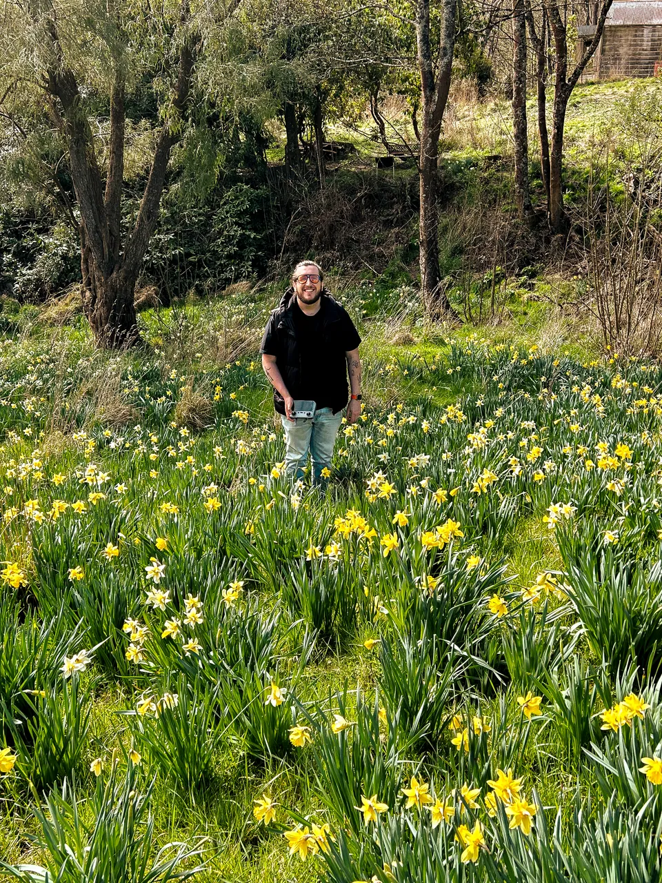 0924-Clutha-Weatherston-Daffodils-52