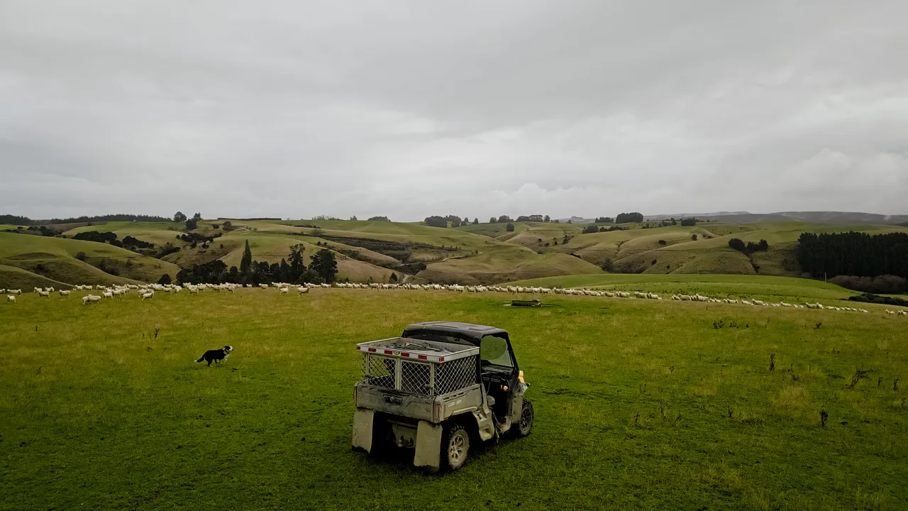 0624-Clutha-Sarahs-Farm-74
