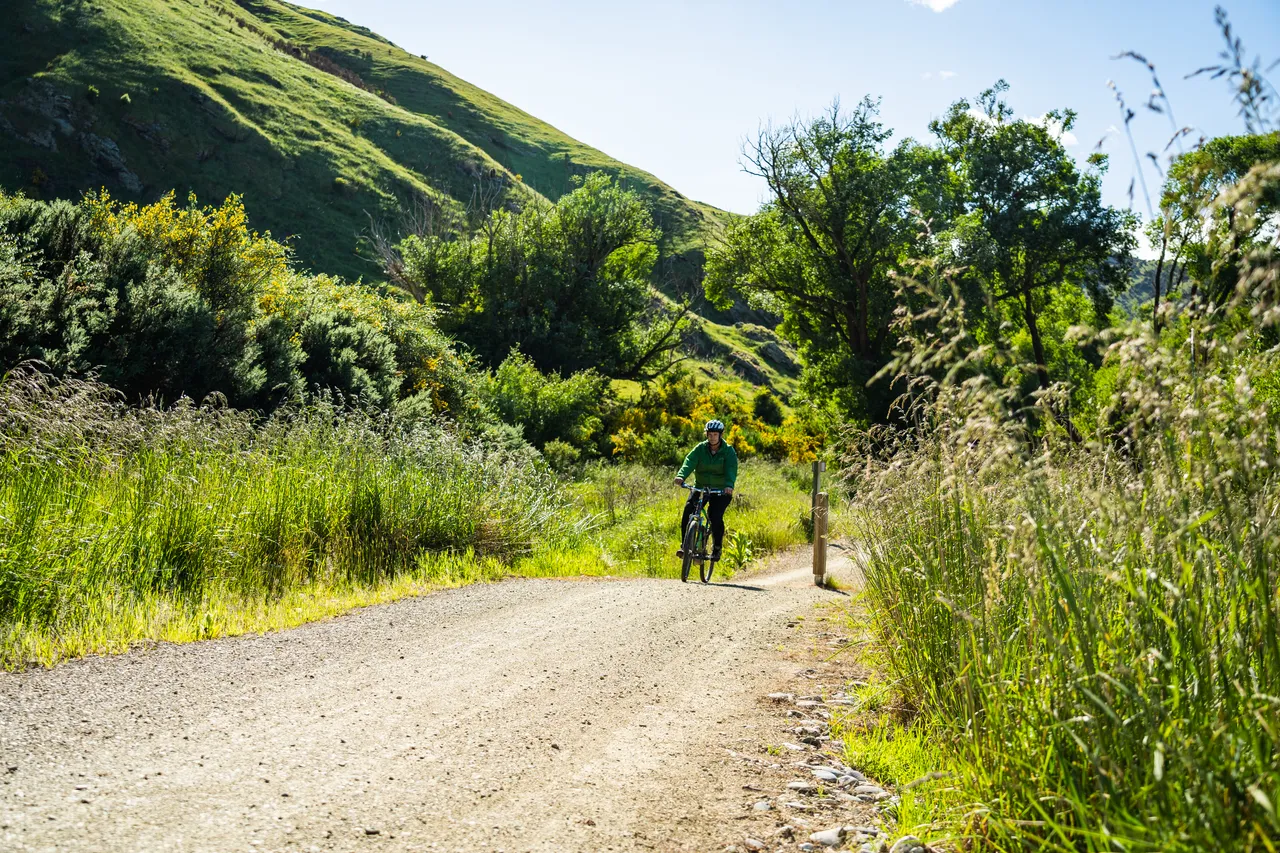 Biker on trail