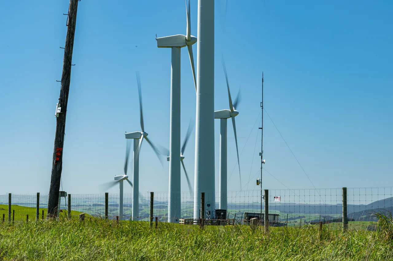 Wind turbines and grass