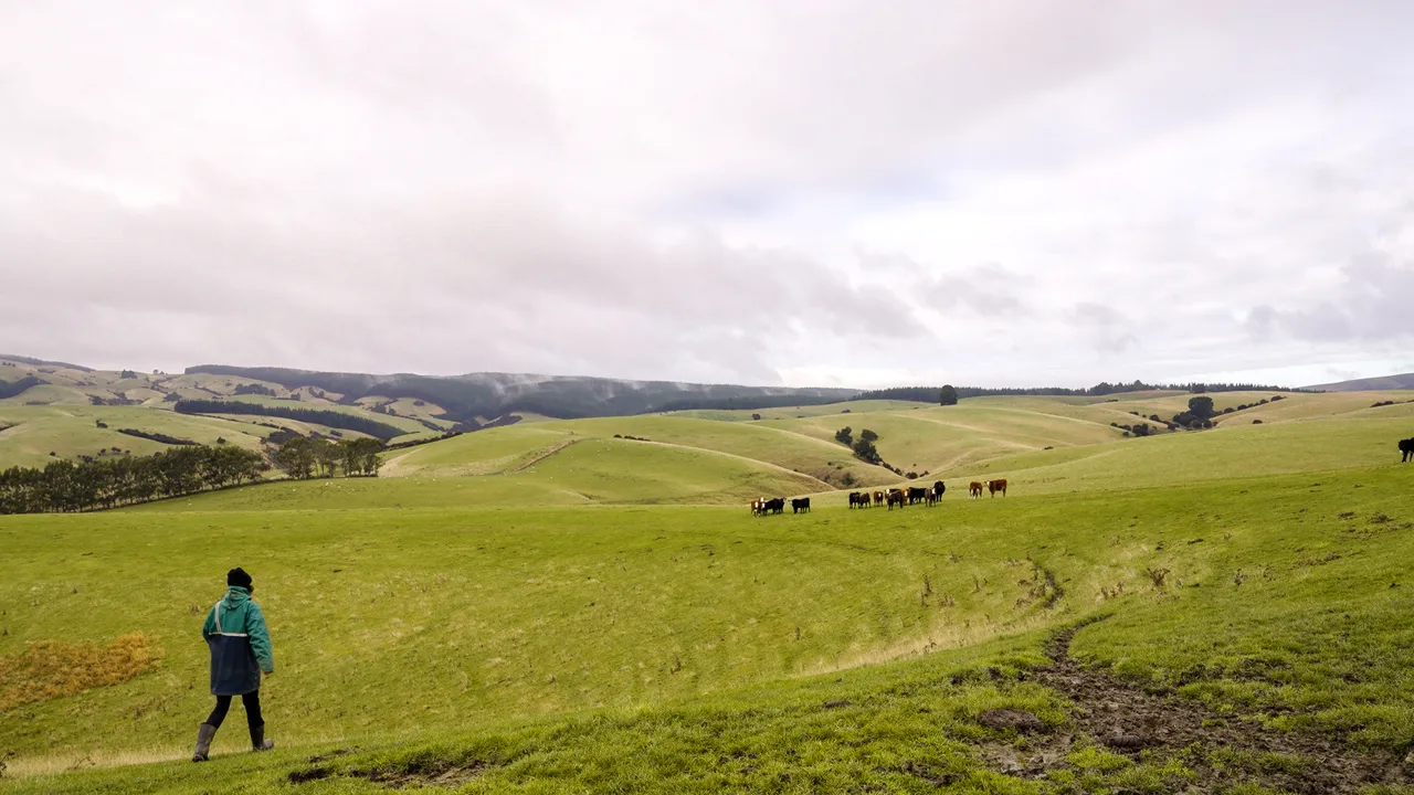0624-Clutha-Sarahs-Farm-28