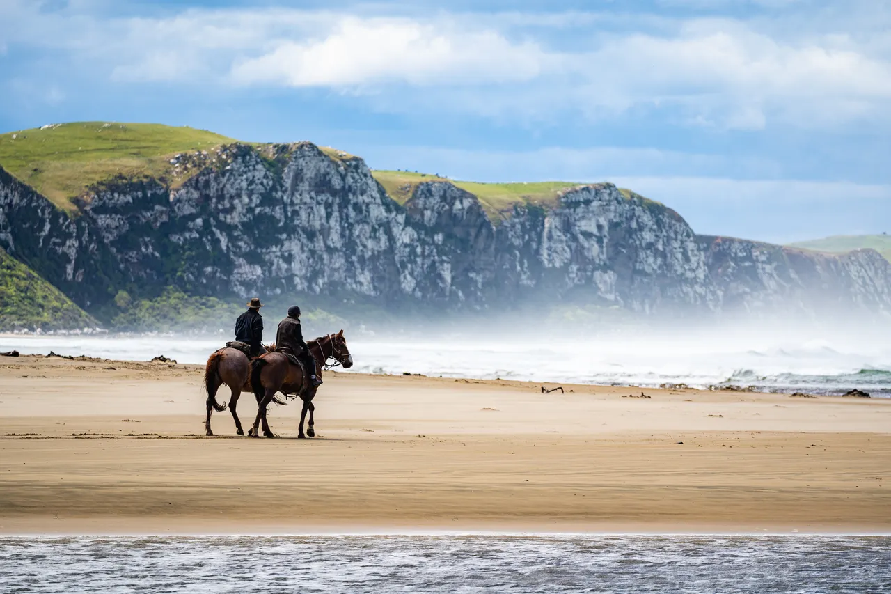 Horses on the beach by the sea