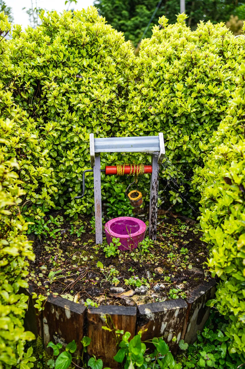 Well and bushes