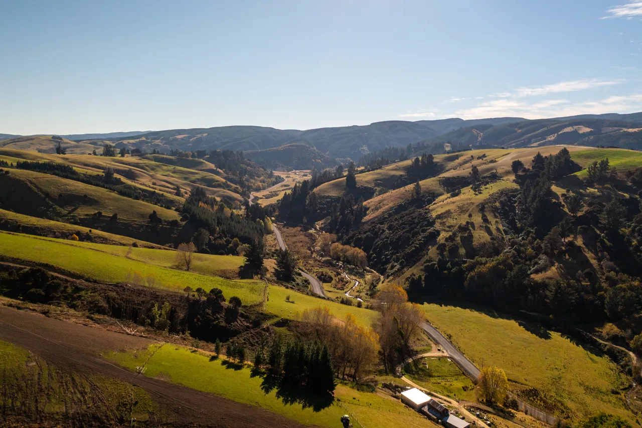 Road and paddocks 