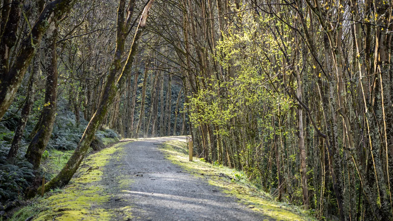 Clutha Gold Trail (3) - Spring 2025 - Credit Geoff Marks