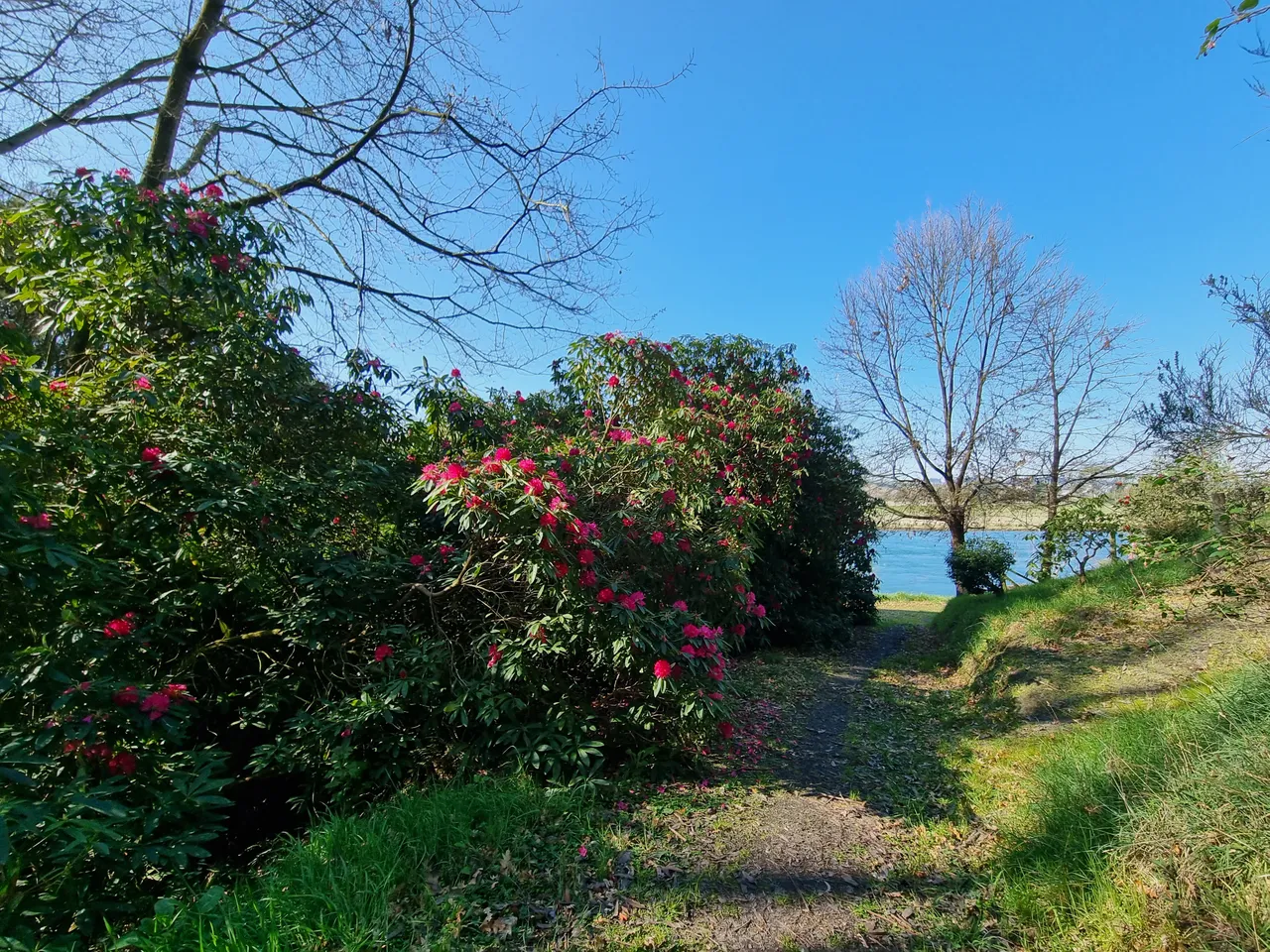 Blair Athol Walkway (14)