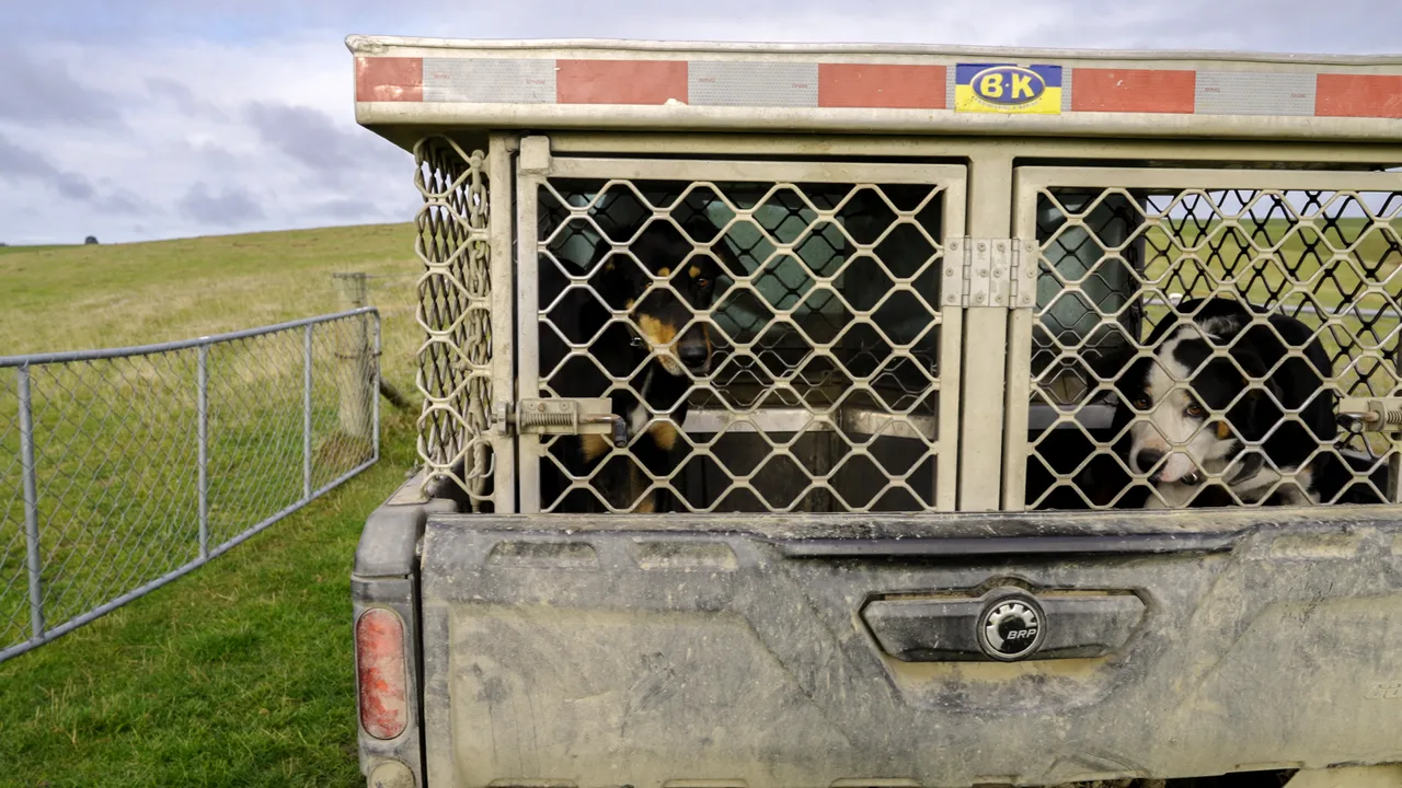 0624-Clutha-Sarahs-Farm-06