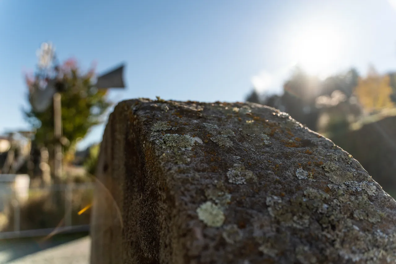 Rock with moss
