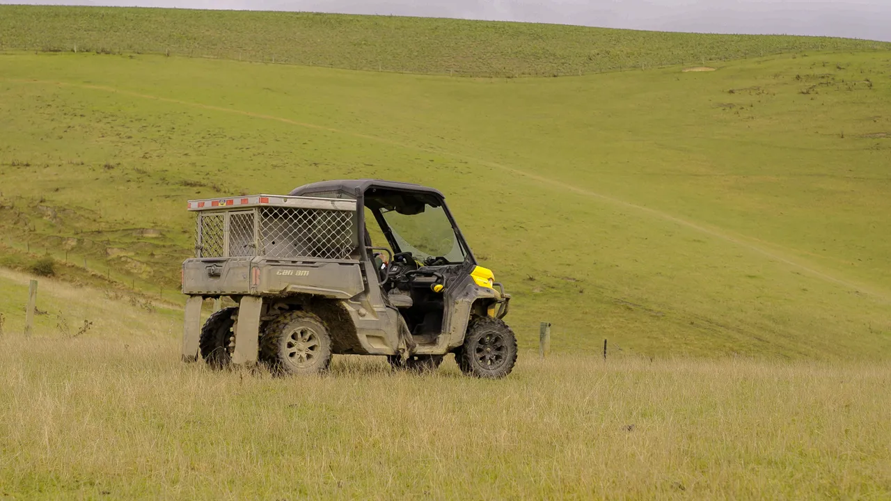 0624-Clutha-Sarahs-Farm-43