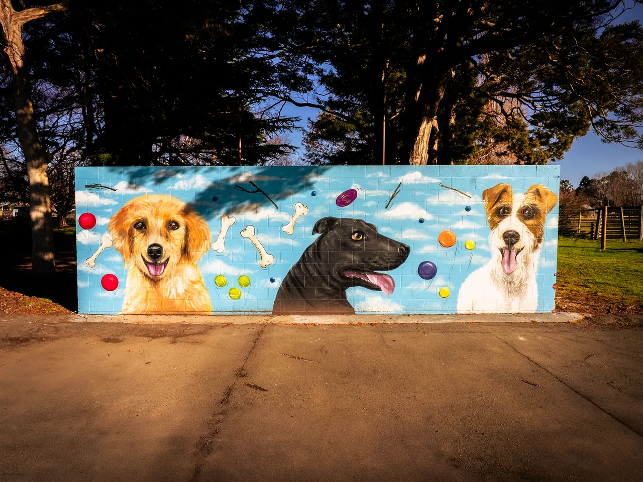 0825-Clutha-Alice-Murals-60