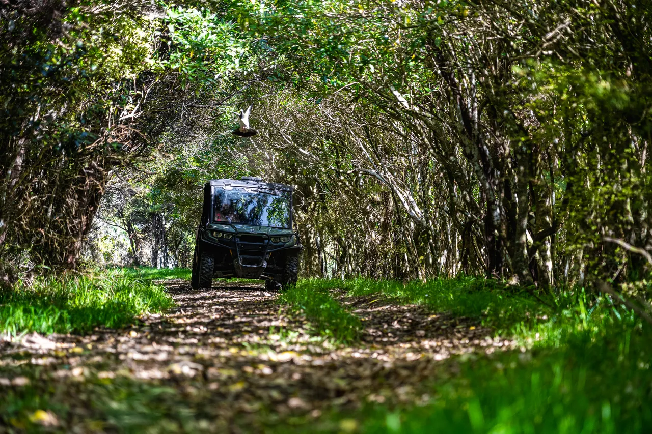 Side by side driving through bush