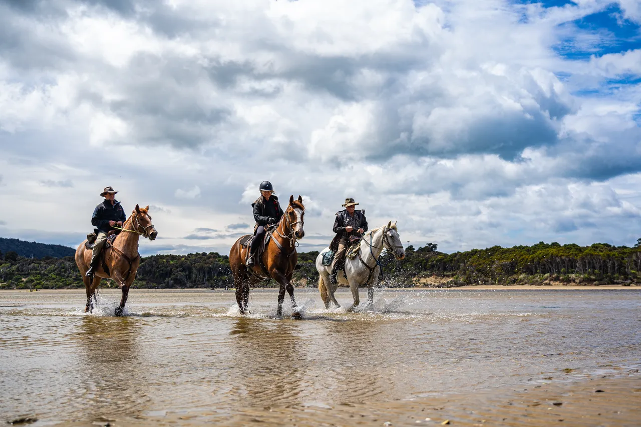 Horses on the beach by the sea