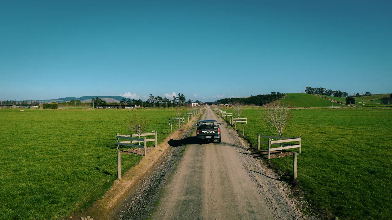 0825-Clutha-VetSouth-039