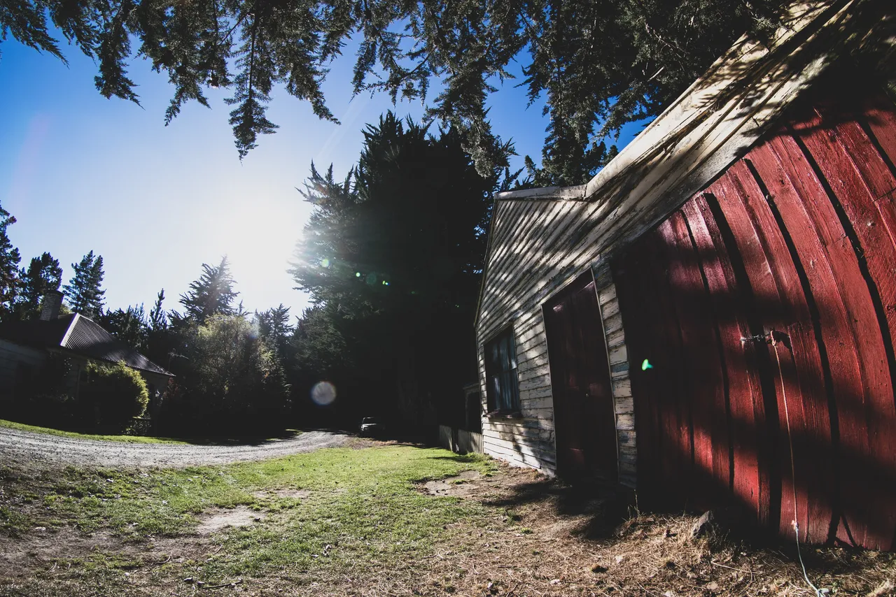 Shed and grass beside a road