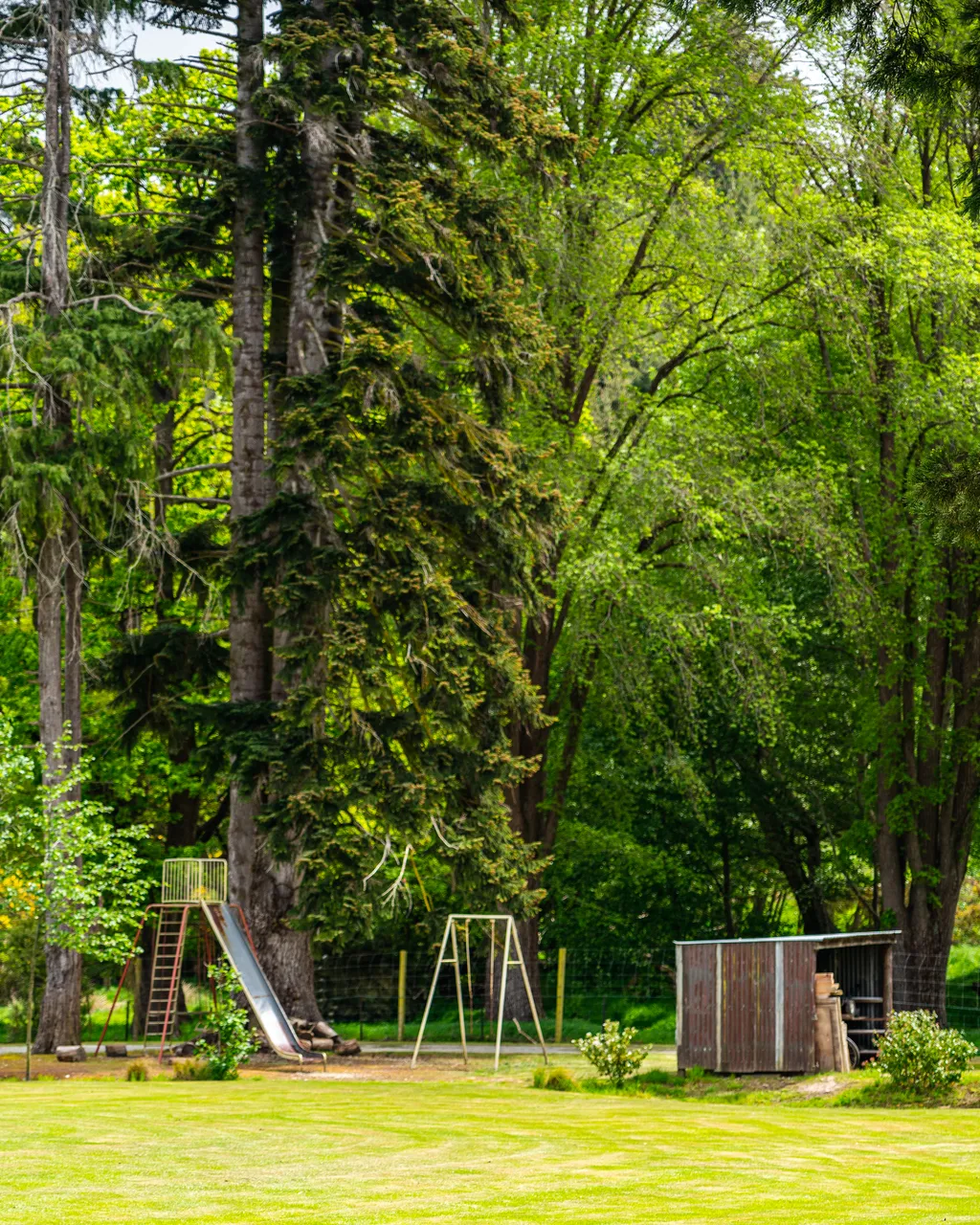 Playground on lawn under tall trees