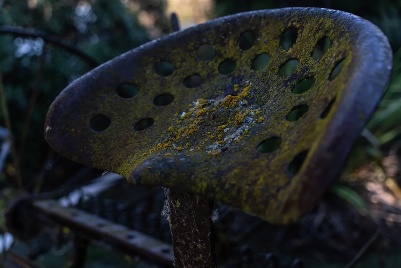 Old tool covered in moss