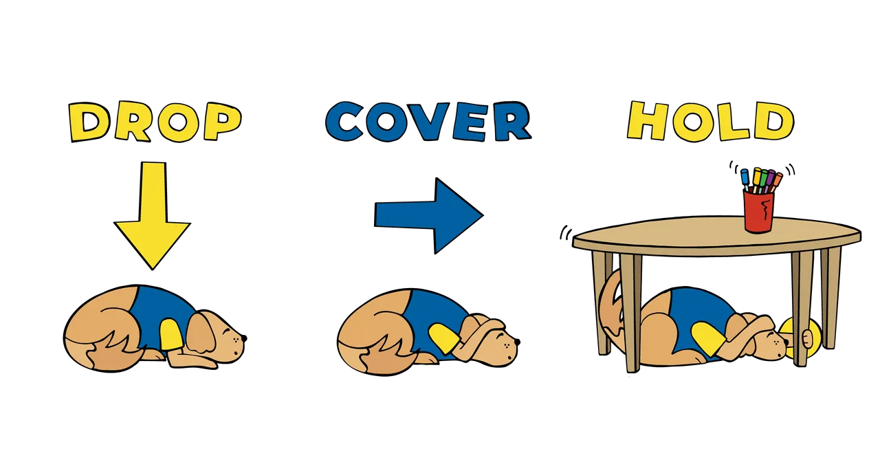 Stan Drop Cover Hold Illustration