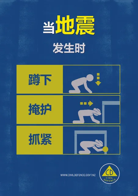 Asset 435495