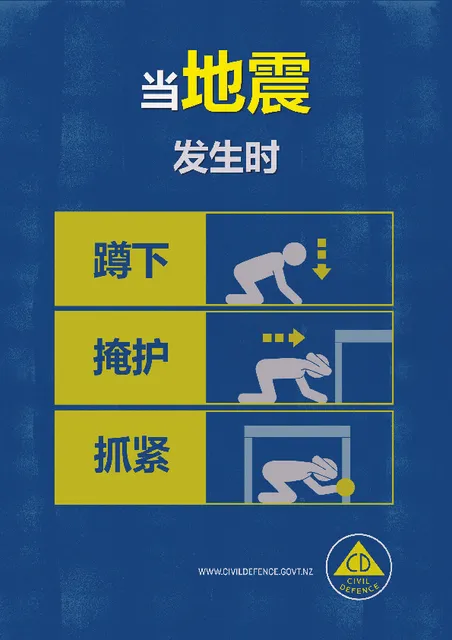 Asset 435501