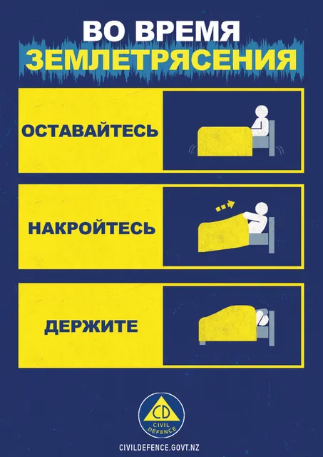 Asset 435947