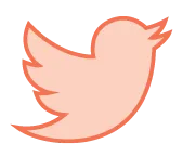 Twitter icon - Orange