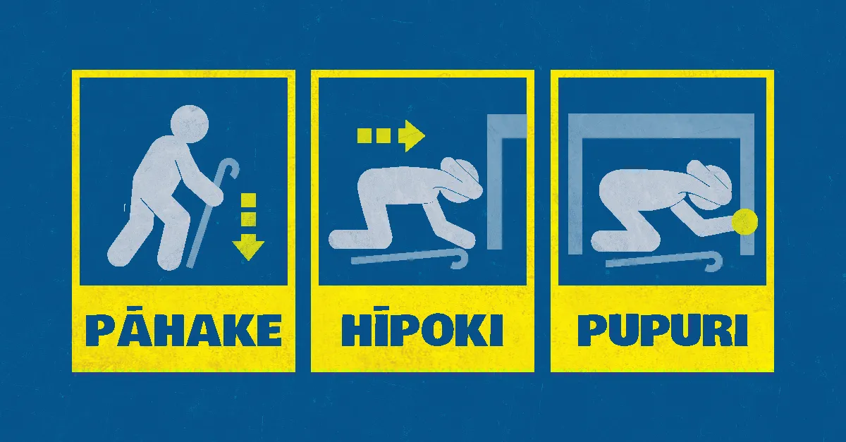 Cane DCH_Māori_LinkedIn