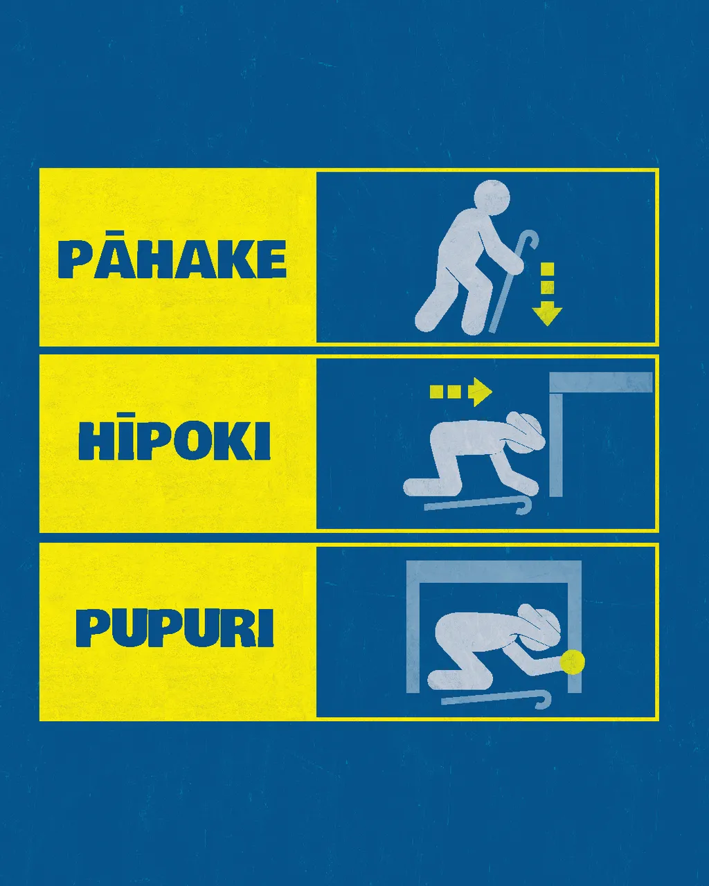 Can DCH_Māori_Instagram