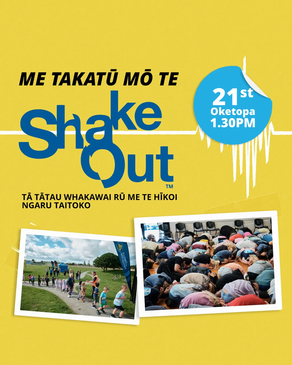 ShakeOut-Instagram-Te-Reo