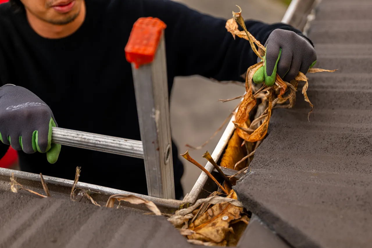 NEMA Photo Shoot 3 March 2026 - HOWIE-1434548