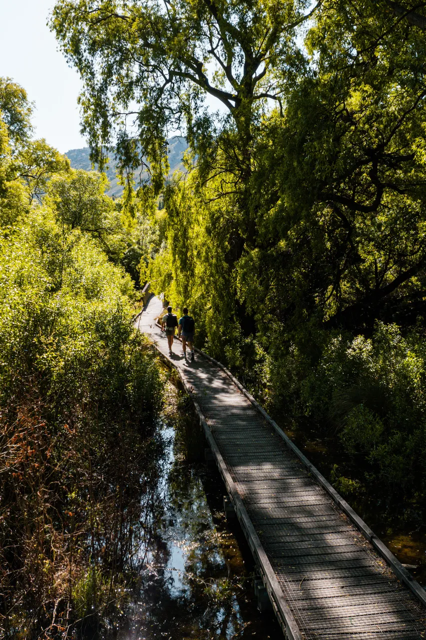 Lake Hayes Walkway