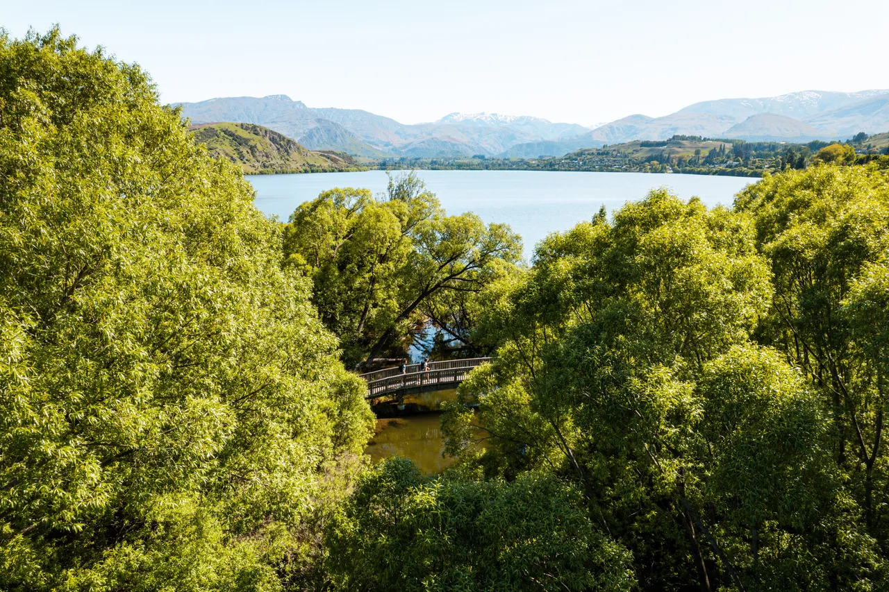 Lake Hayes Walkway