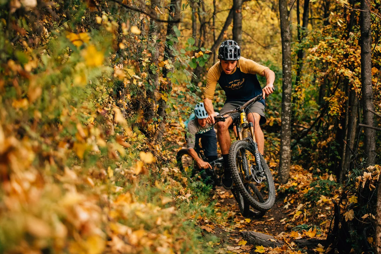 Tobin's Track - Arrowtown