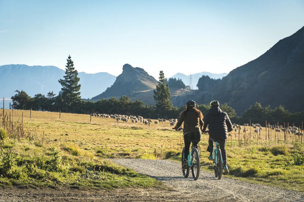  Winter Biking in Gibbston